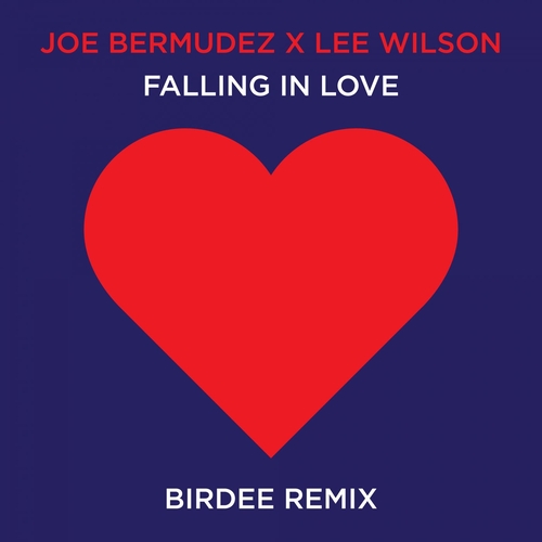 Joe Bermudez, Lee Wilson - Falling In Love (Birdee Remix) [CAT607619]